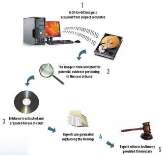 forensic process