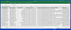 Screenshot of Flashback Data $I File Parser