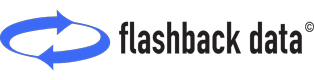 Flashback Data