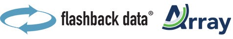 Flashback Data